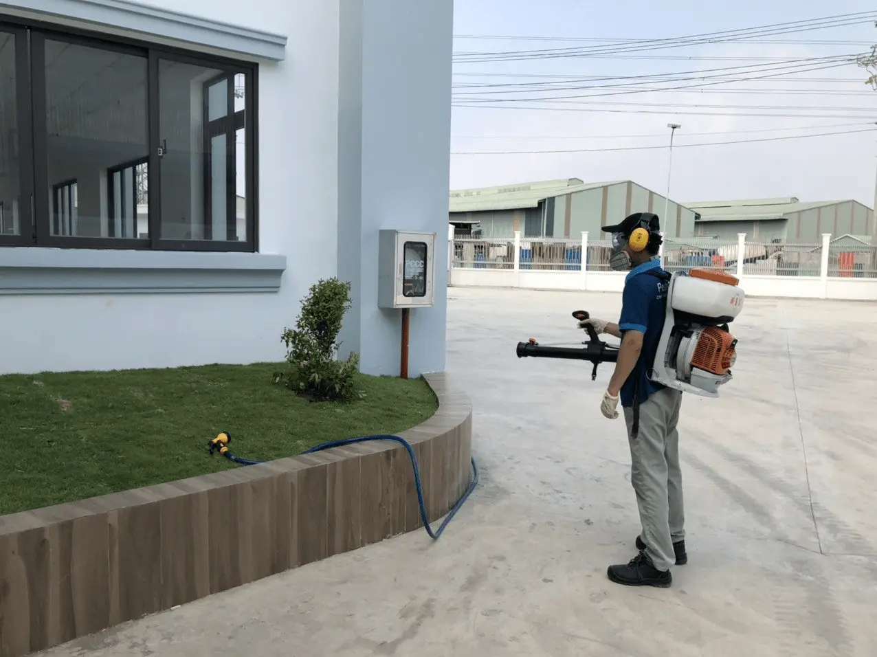 diệt mối tại Tây Ninh diệt mối tại Tây Ninh