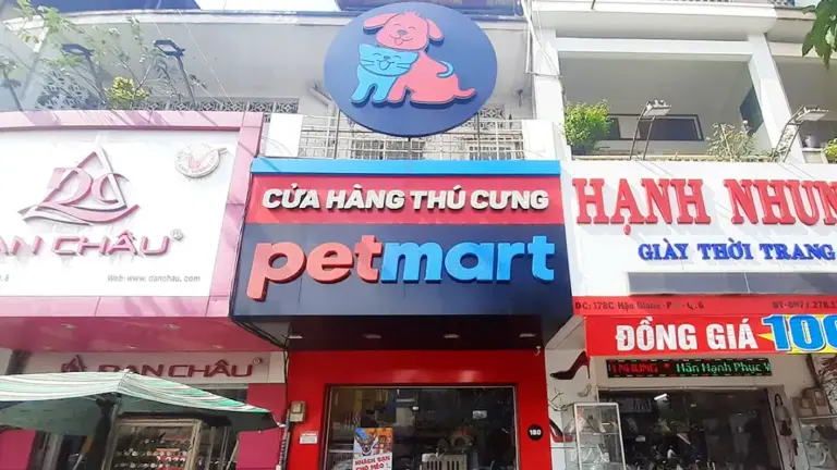 Điểm Danh Top 5 Shop Thú Cưng Vĩnh Long Đáng Tin Cậy