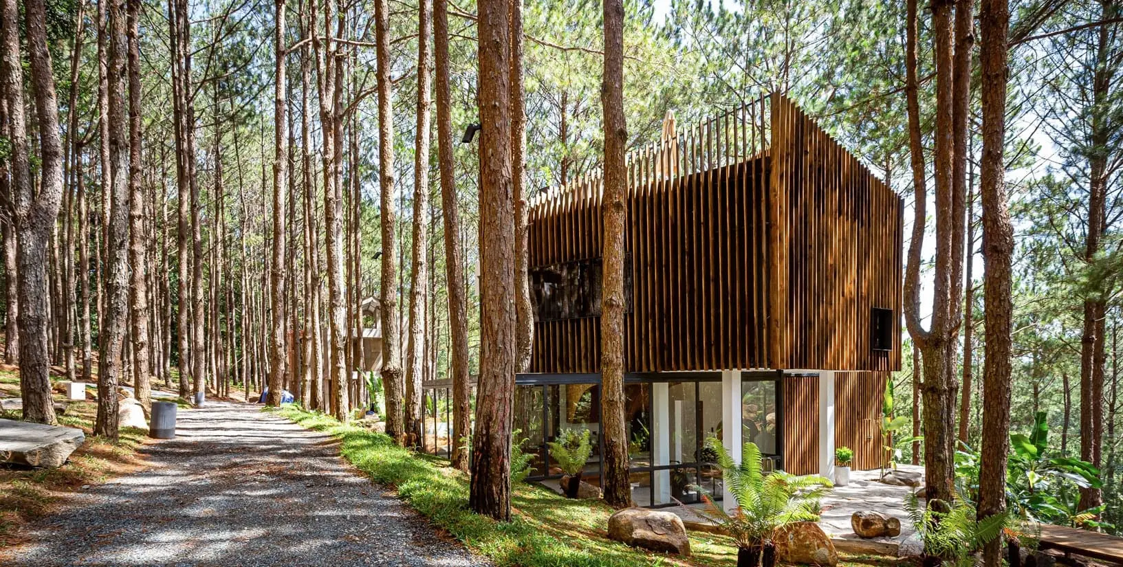 ăn tối đà lạt Quán Rừng Thông Mơ Farm & Bistro