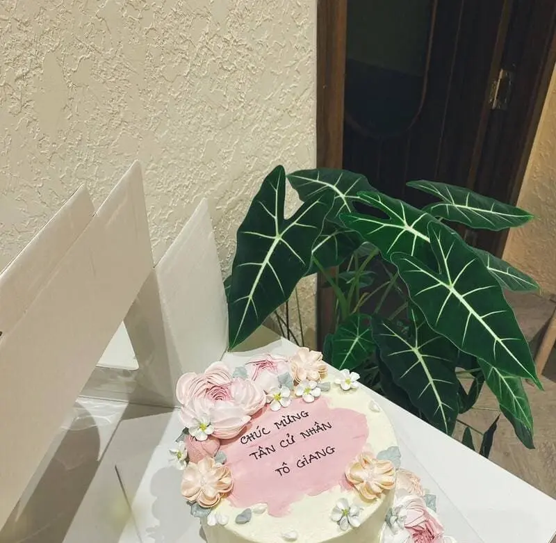 bánh kem Đà Lạt bánh kem Đà Lạt