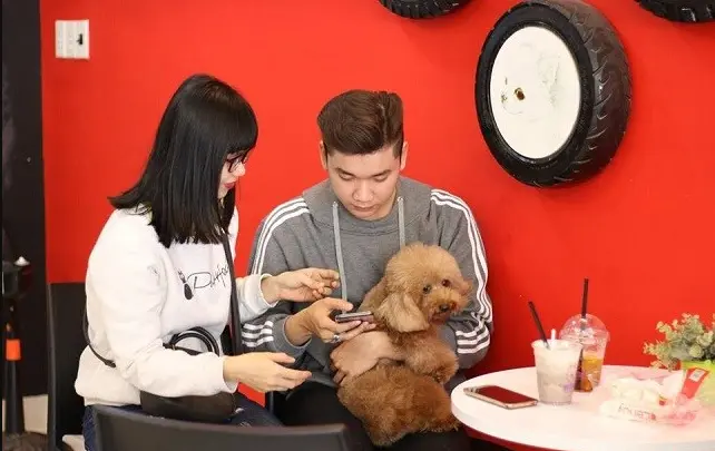 quán cafe thú cưng ở Đà Nẵng 3