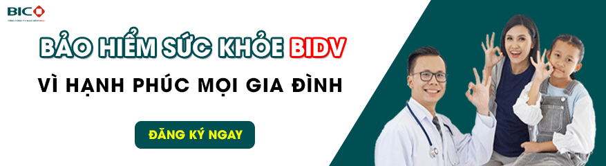bic-1