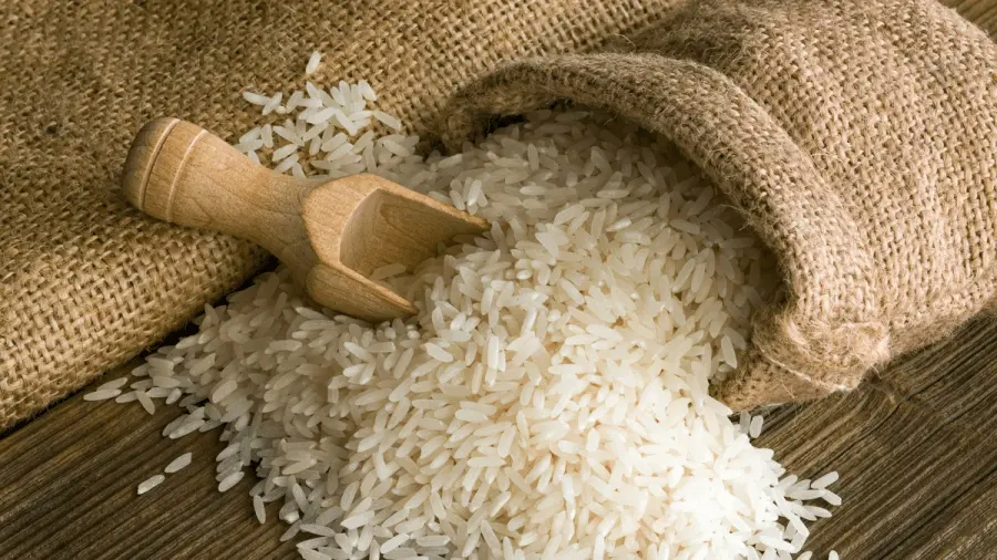 đại lý gạo biên hòa đại lý gạo biên hòa