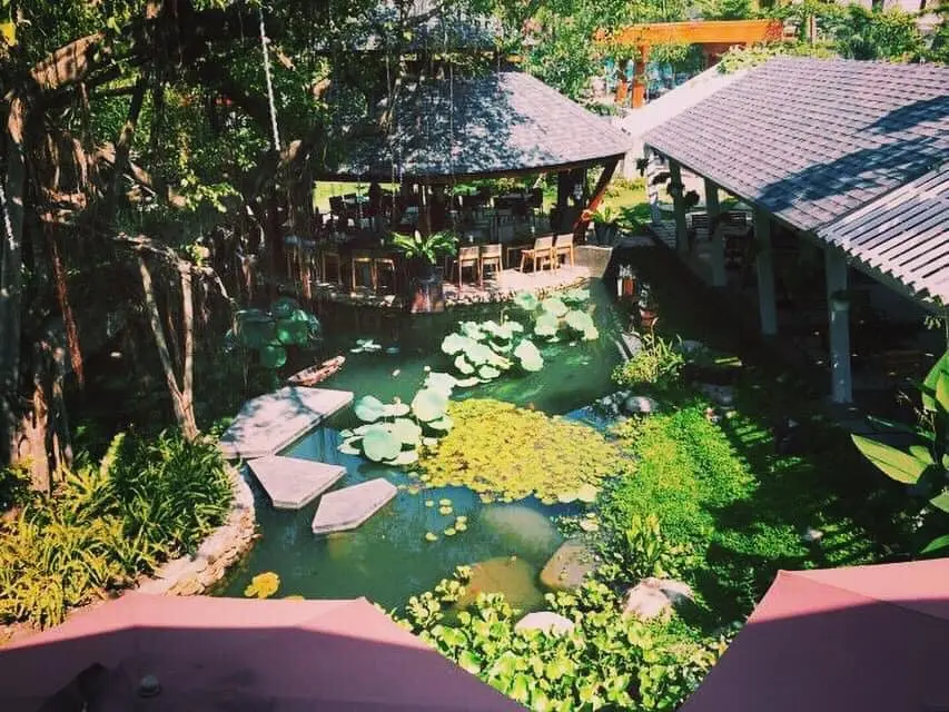 ca-phe-ngon-tay-ninh-2 Cà Phê ngon Tây Ninh