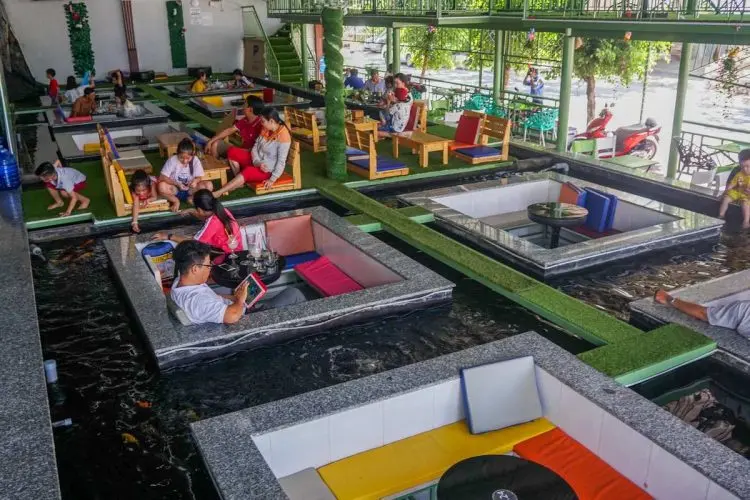 cafe cá koi Huế cafe cá koi Huế