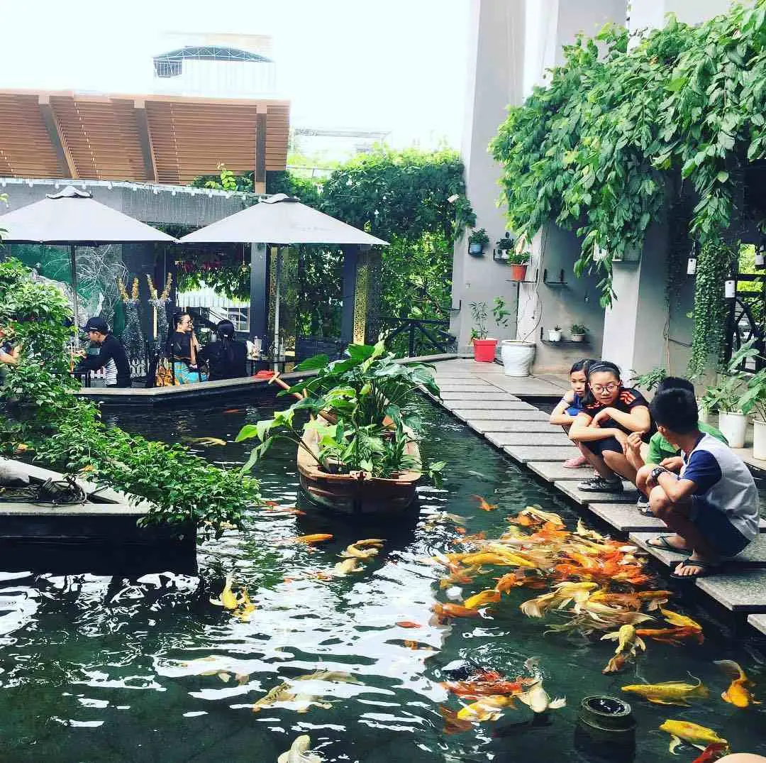 cafe cá koi Huế cafe cá koi Huế