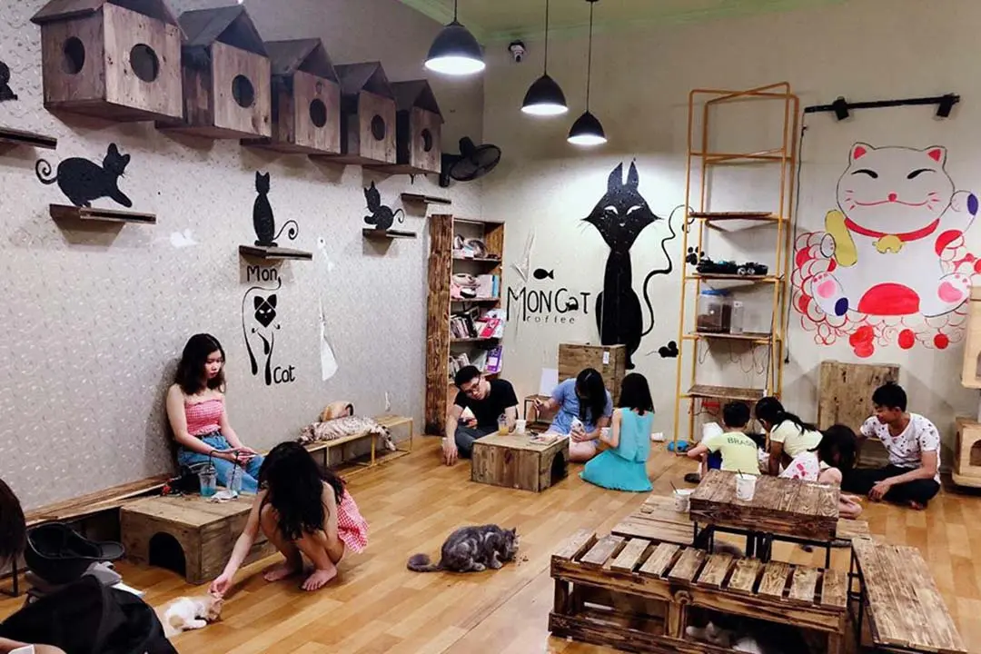 cafe chó hà nội cafe chó hà nội