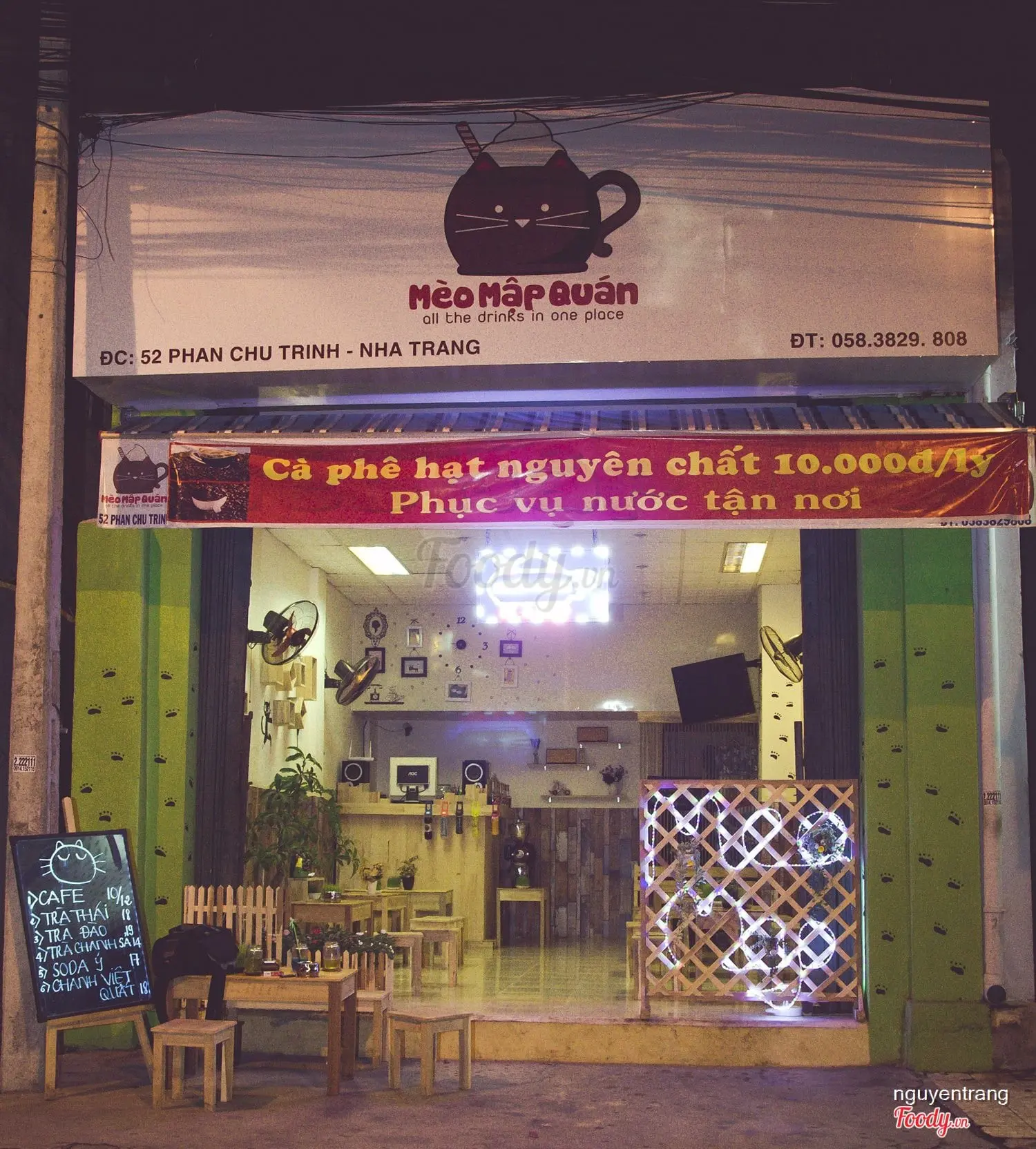 cafe mèo nha trang cafe mèo nha trang