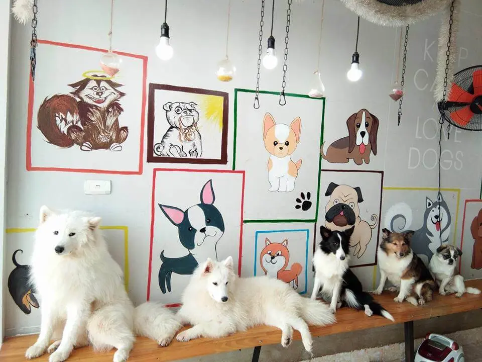 nhà hàng campuchia ở sài gòn nhà hàng campuchia ở sài gòn