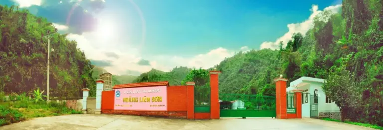 Bật Mí Top 3 Công Ty Cung Cấp Xi Măng Lào Cai Chất Lượng