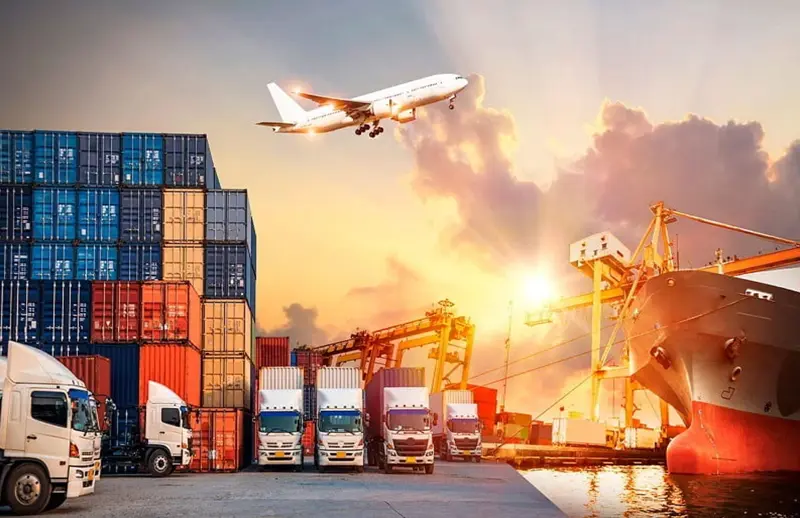 Công ty xuất nhập khẩu Bến Tre Công ty xuất nhập khẩu Bến Tre