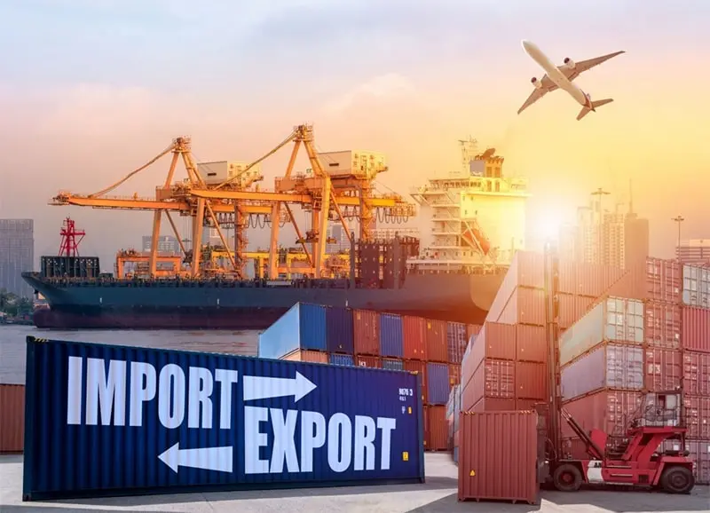 Công ty xuất nhập khẩu Bến Tre Công ty xuất nhập khẩu Bến Tre