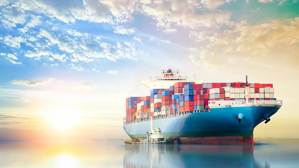 Công ty xuất nhập khẩu Bến Tre Hoàng Nam