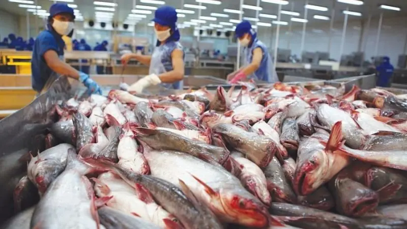 công ty xuất nhập khẩu thủy sản Bến Tre Công ty XNK Faquimex