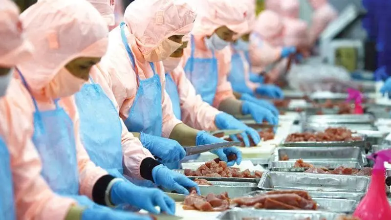 công ty xuất nhập khẩu thủy sản Bến Tre Công ty xuất nhập khẩu thủy sản Bến Tre