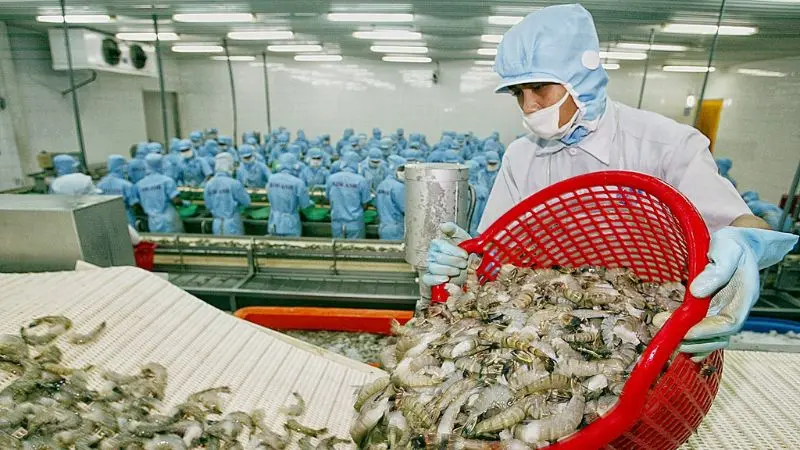 công ty xuất nhập khẩu thủy sản Bến Tre Thủy Sản Hoa Sen - Công ty xuất nhập khẩu thủy sản Bến Tre chất lượng