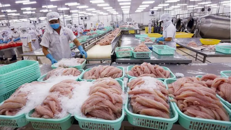 công ty xuất nhập khẩu thủy sản Bến Tre Công Ty Hải Hương xuất nhập khẩu thủy sản