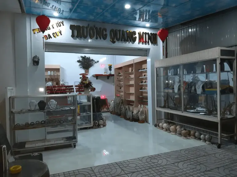 Top 5 Cửa Hàng Đá Phong Thủy Vũng Tàu Uy Tín Không Nên Bỏ Qua