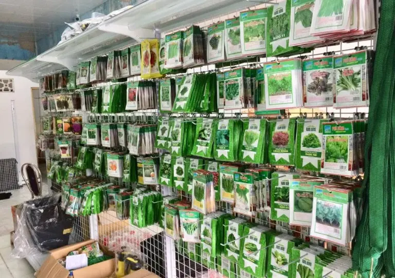 hạt giống Tiền Giang hạt giống Tiền Giang