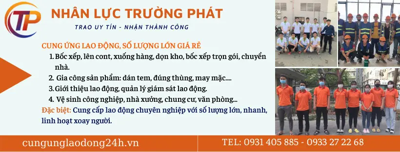 cung ứng lao động tphcm cung ứng lao động tphcm