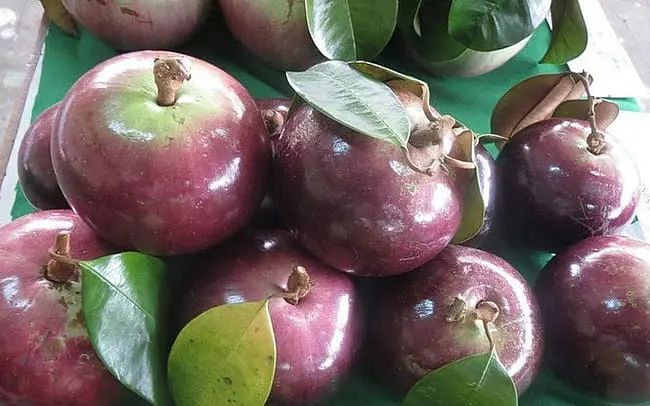 Top 5 Đặc Sản Phong Điền Cần Thơ Khiến Mọi Người Mê Mẩn