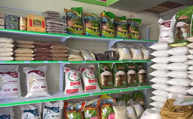 Bún Riêu Dốc Tòa