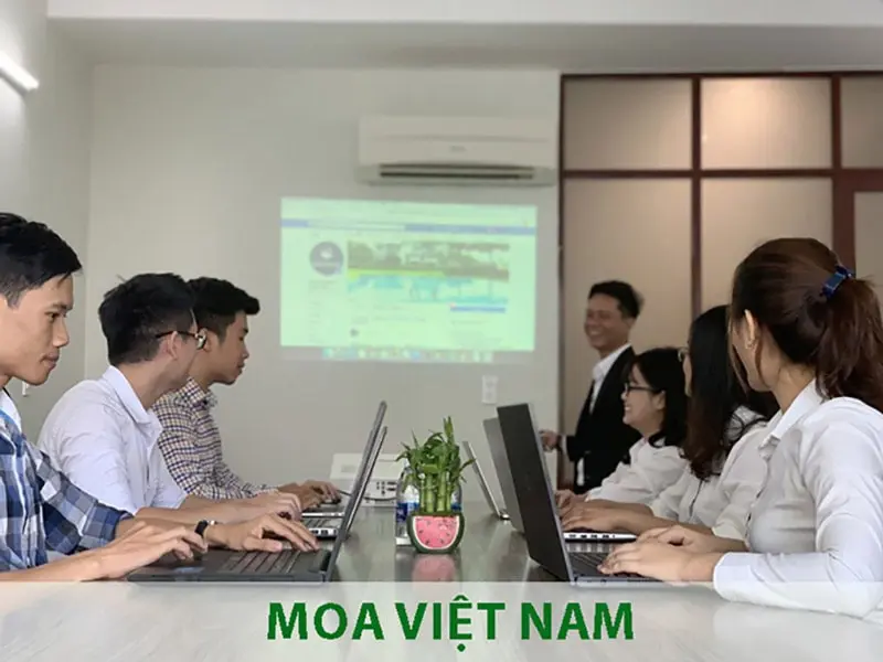 đào tạo SEO HCM đào tạo SEO HCM