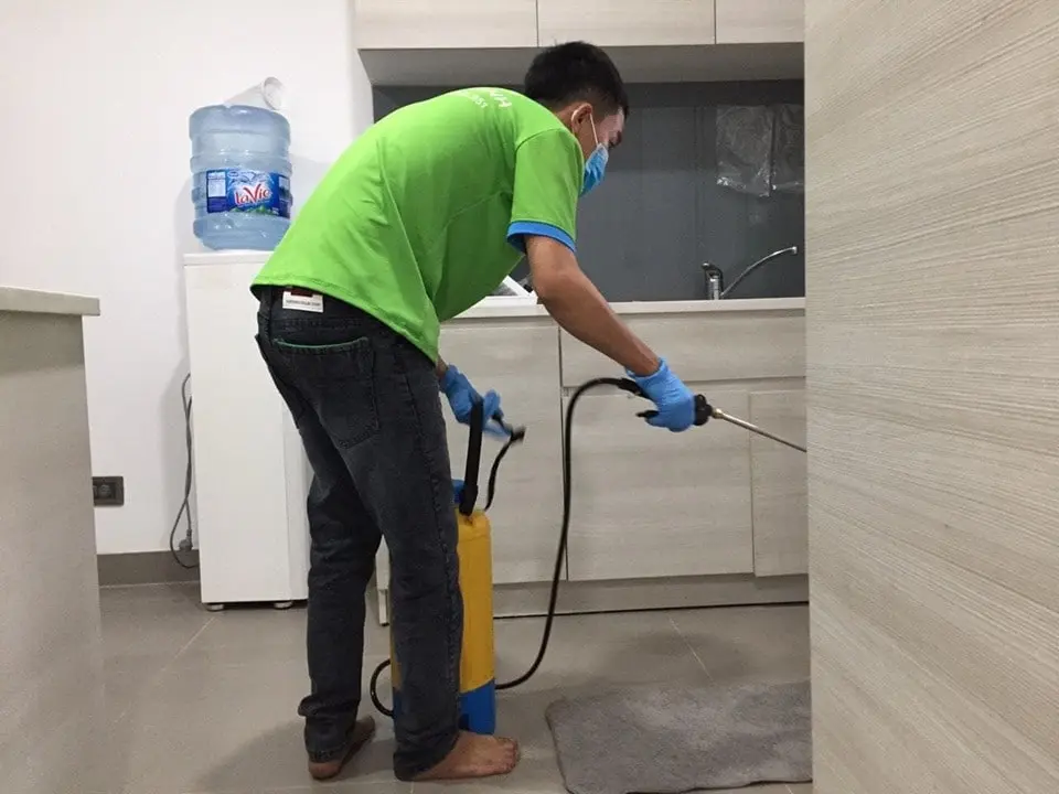 Diệt Mối Bình Phước Diệt Mối Bình Phước