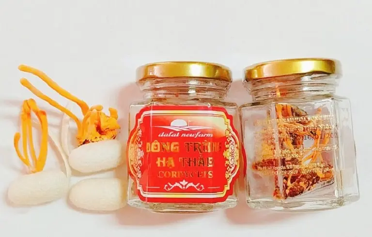 đông trùng hạ thảo Đà Lạt đông trùng hạ thảo đà lạt
