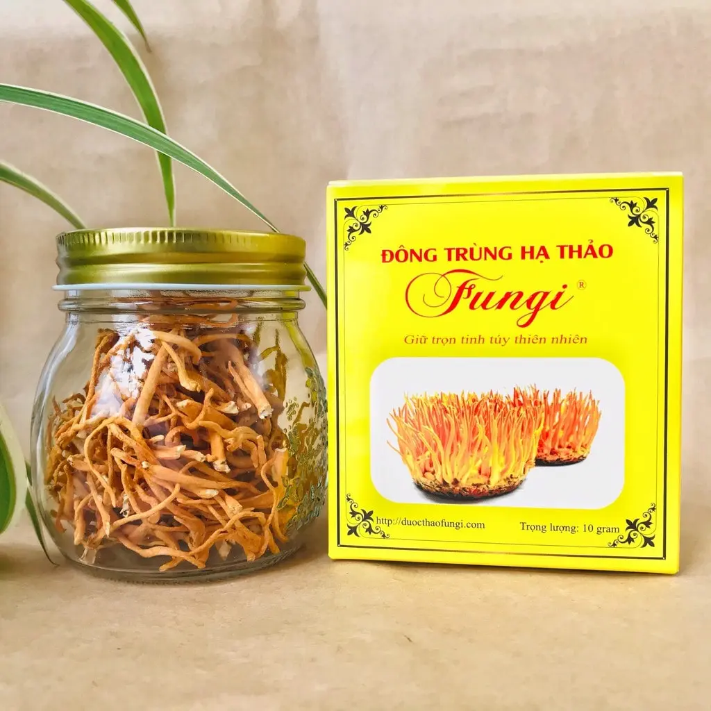 đông trùng hạ thảo khô cần thơ Dược Thảo FUNGI