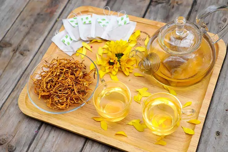đông trùng hạ thảo khô cần thơ đông trùng hạ thảo khô Cần Thơ