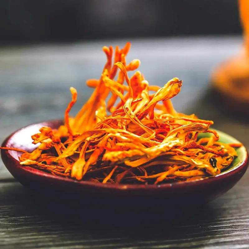 đông trùng hạ thảo khô cần thơ đông trùng hạ thảo khô Cần Thơ