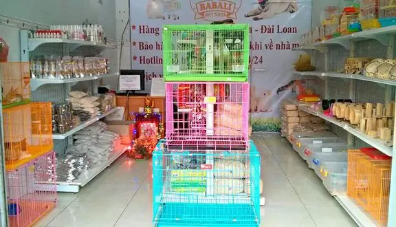 shop thú cưng vĩnh long shop thú cưng vĩnh long