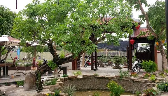 ăn trưa ở Đà Nẵng ăn trưa ở Đà Nẵng