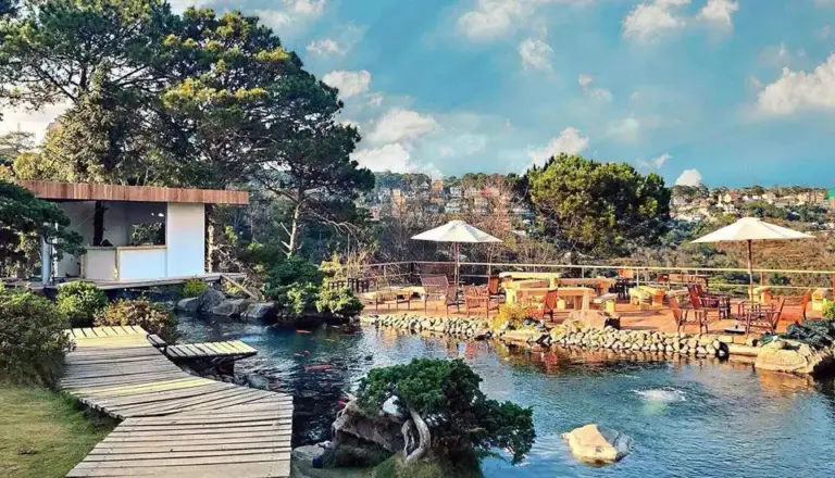 Top 5 Cafe Cá Koi Đà Lạt Đẹp, Hấp Dẫn Và Thu Hút Nhất