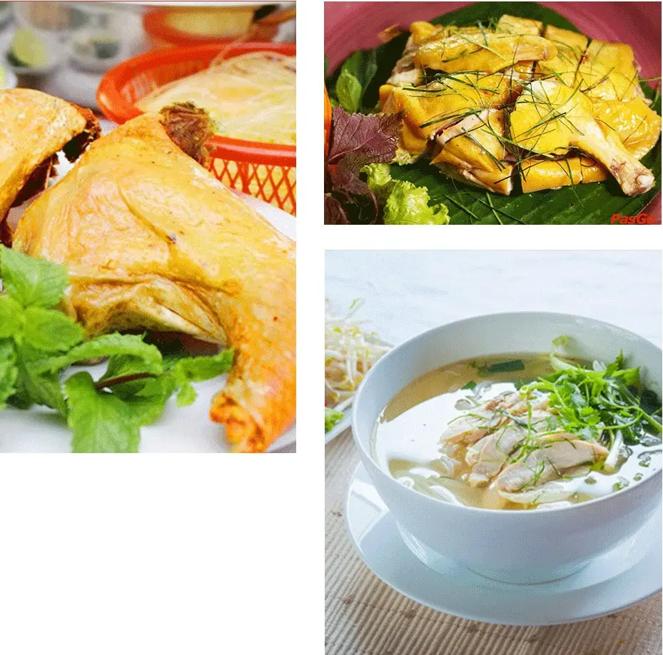 Gà Mạnh Hoạch Thái Bình Gà Mạnh Hoạch Thái Bình