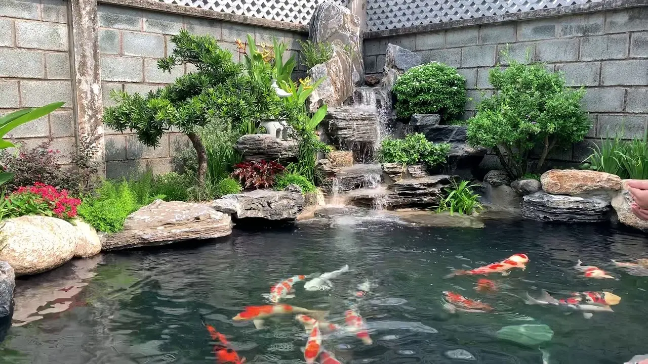 giá thi công hồ cá koi giá thi công hồ cá koi