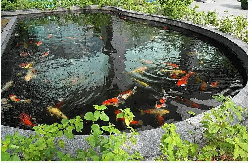 giá thi công hồ cá koi Sân Vườn VTOP