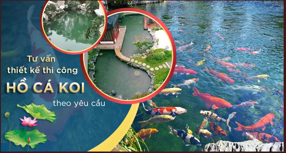 giá thi công hồ cá koi Công ty Việt Pháp