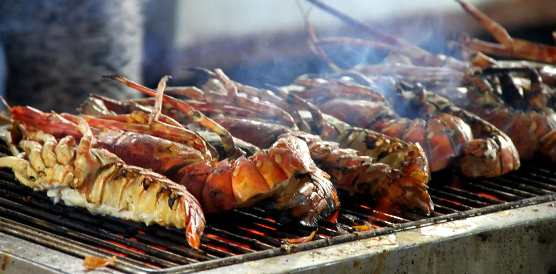 Hải Sản Long An Nhà Hàng Nổi Tiếng