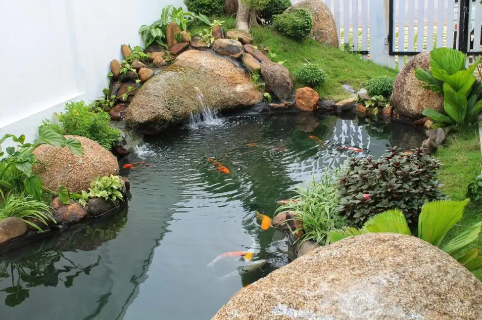 giá thi công hồ cá koi giá thi công hồ cá koi