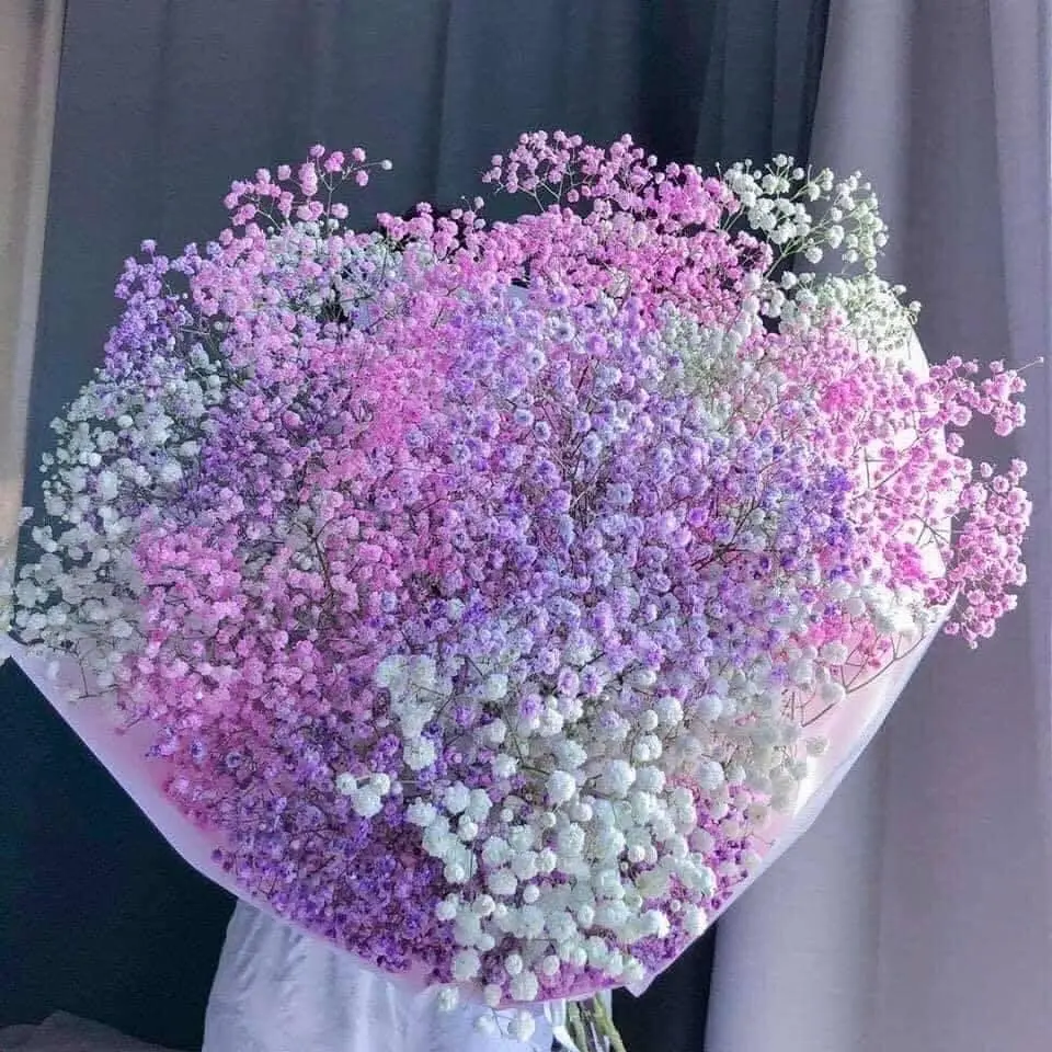 hoa tươi bạc liêu Hoa Tươi Cát Tường