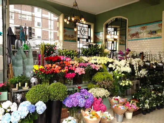 Hoa Tươi Bến Tre Sen Flower