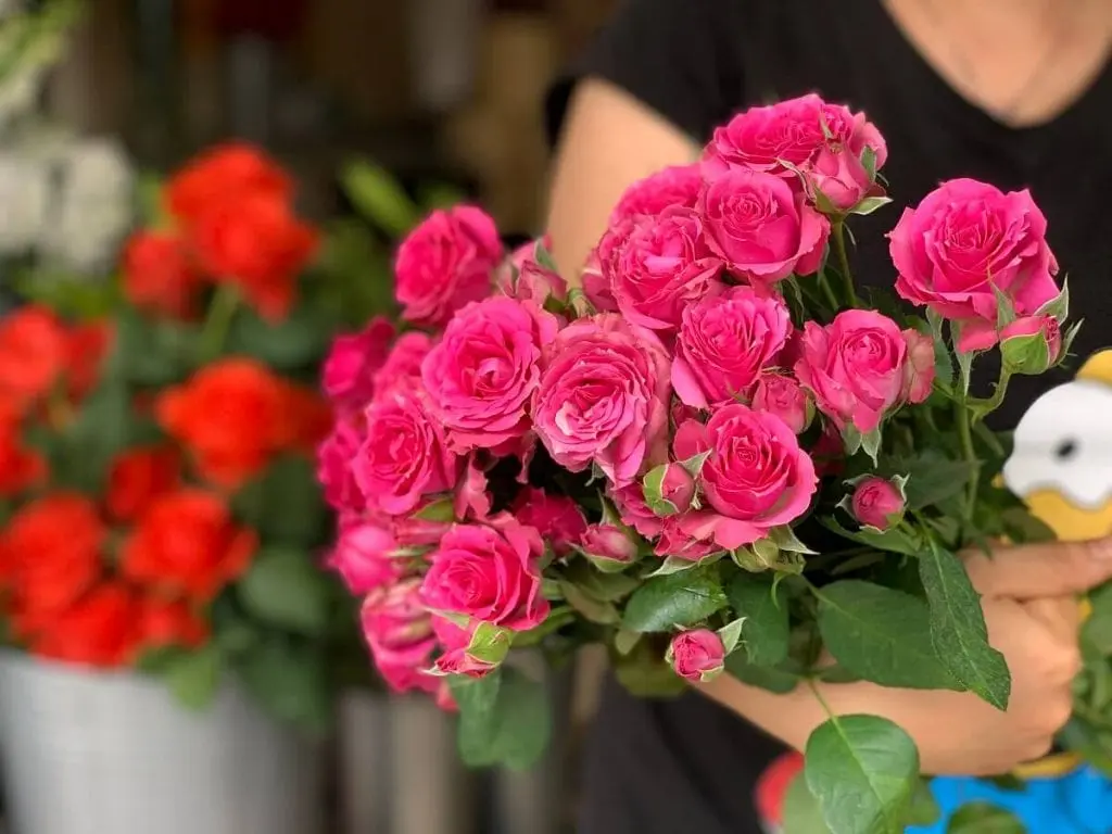 hoa tươi cà mau Nơi Cung Cấp Hoa Tươi Với Nhiều Kinh Nghiệm