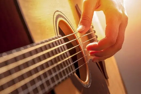 học guitar TPHCM guitar Âm Nhạc Việt