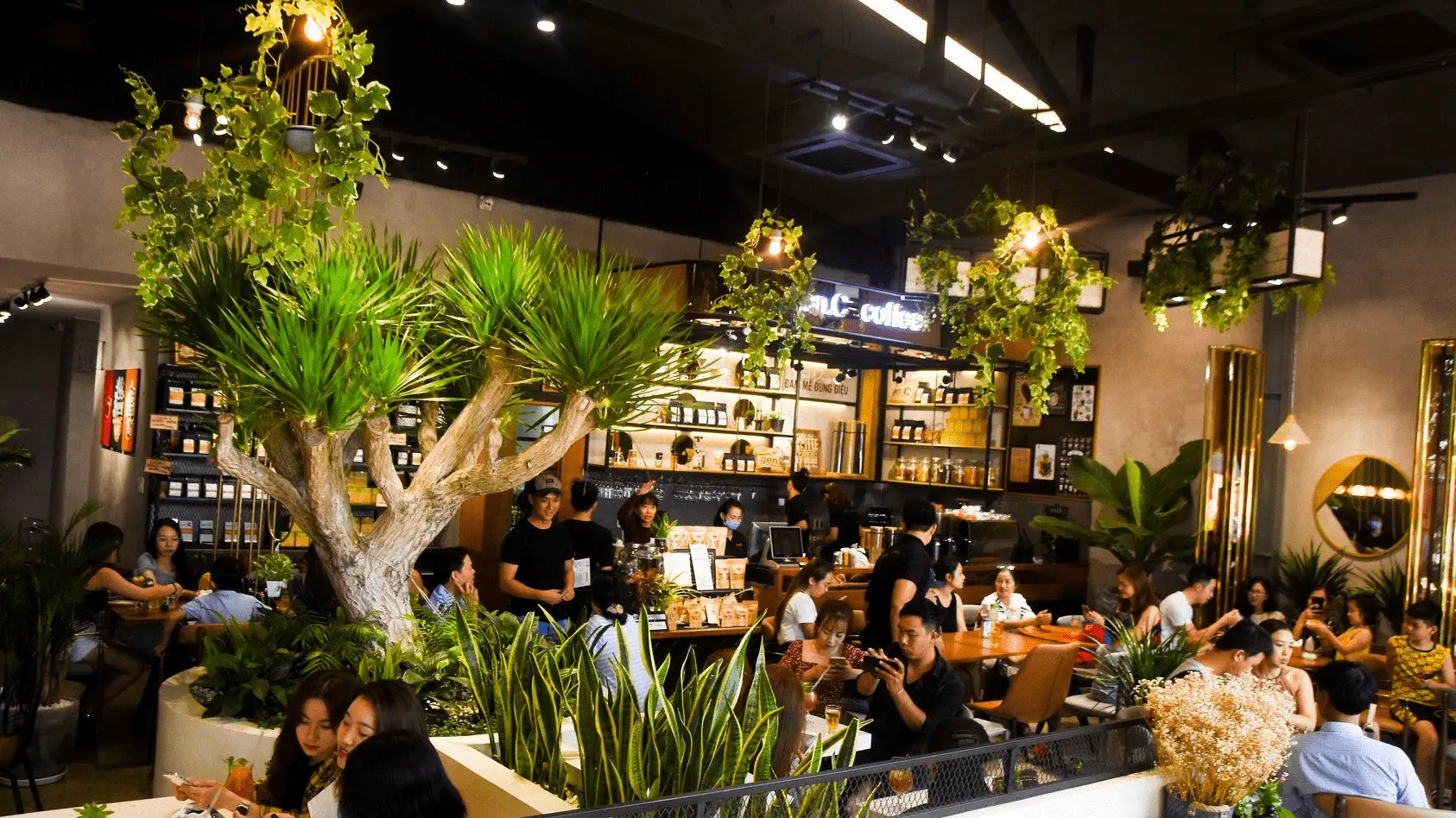 QUÁN CAFE ĐẸP BMT quán cà phê hot