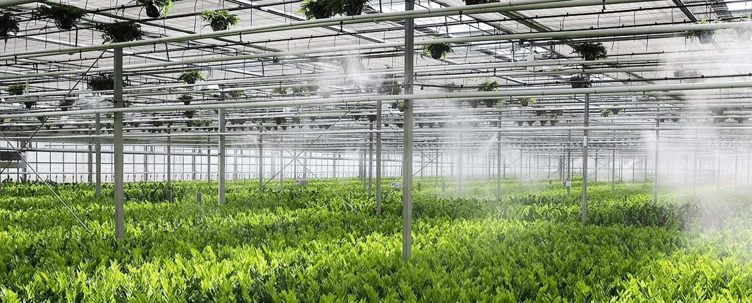 lắp đặt hệ thống phun sương đà nẵng lắp đặt hệ thống phun sương đà nẵng