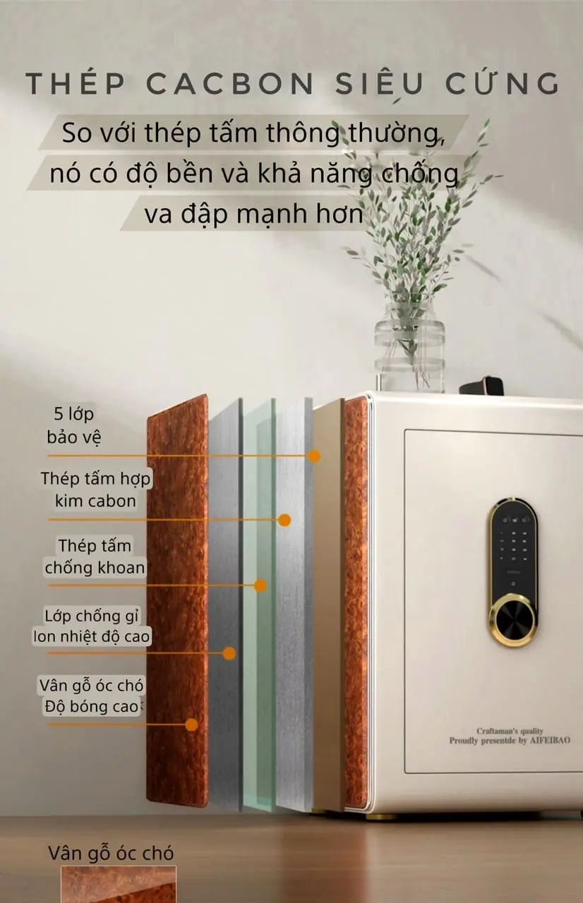 khóa cửa vân tay vũng tàu