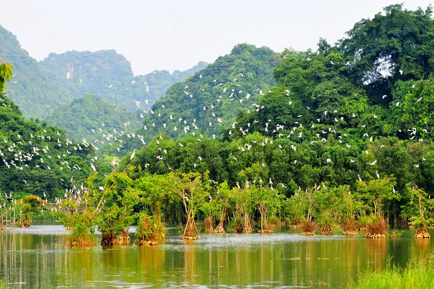 salon tóc cần thơ Thảo Tây