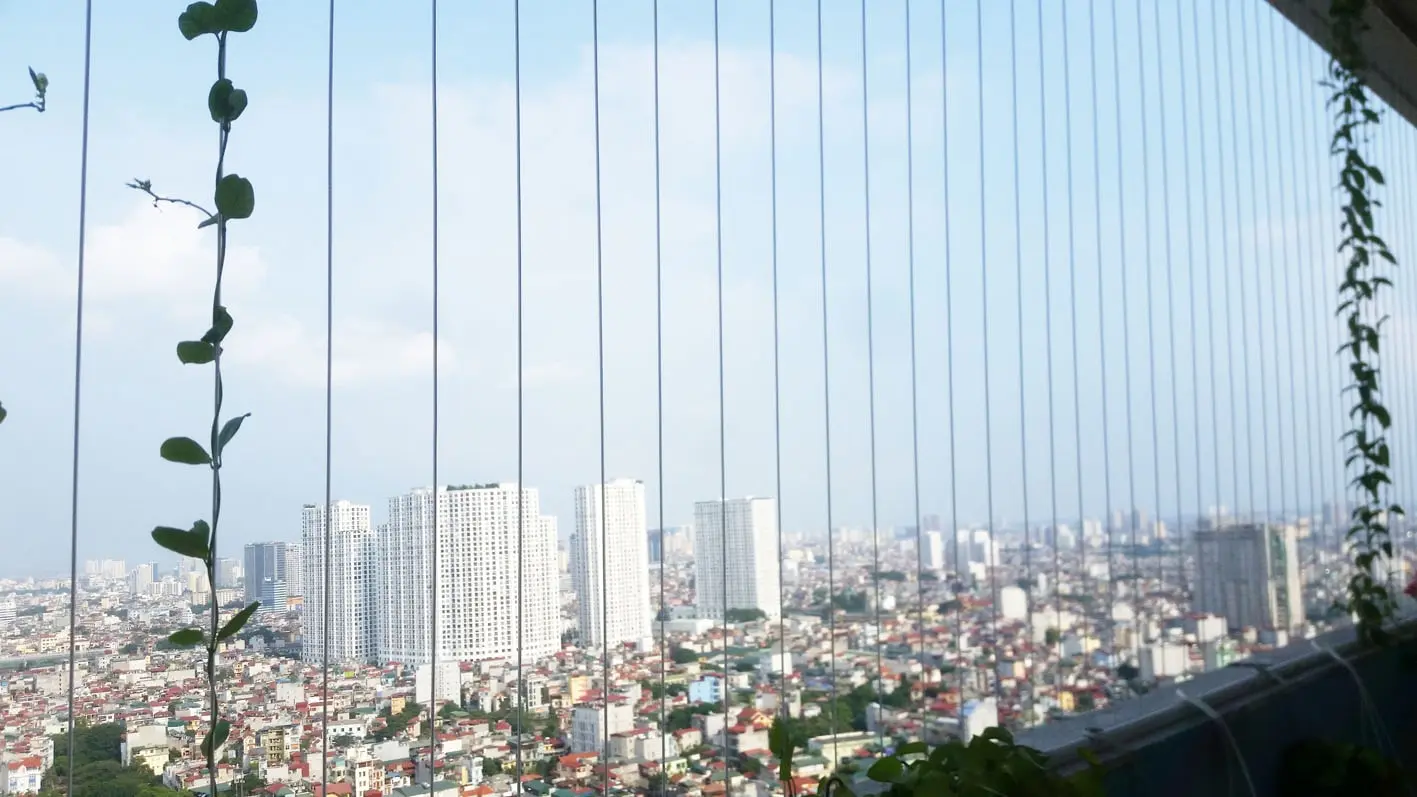 lưới an toàn yên bái Long Huệ